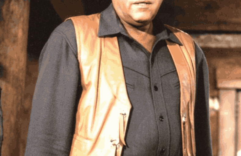Men’s Bonanza Ben Cartwright Brown Leather Vest