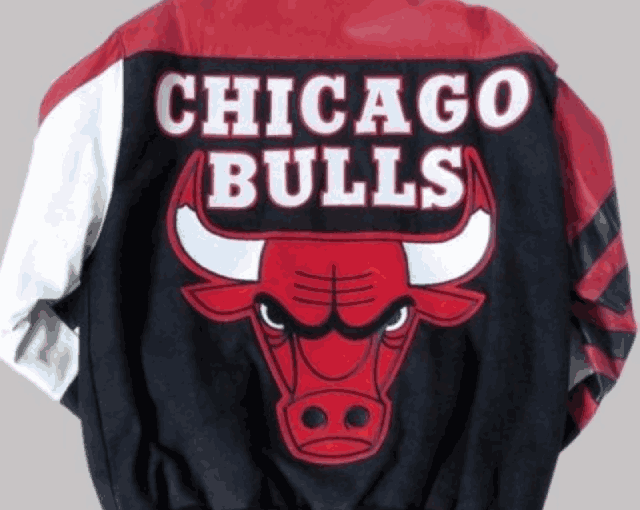 Chicago Bulls Bomber Leather Jacket