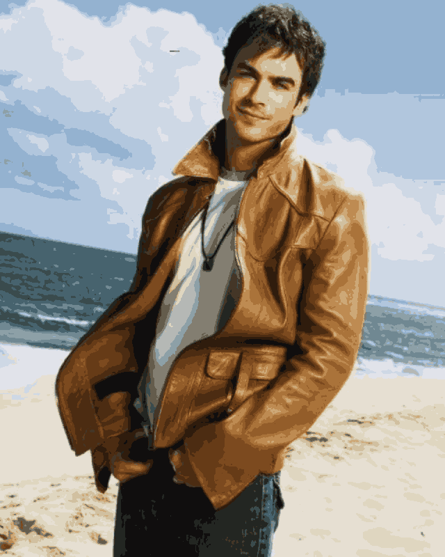 Ian Somerhalder The Vampire Diaries Brown Jacket