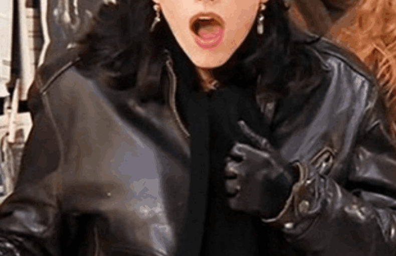 Friends Monica Geller Courteney Cox Leather Jacket