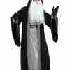 Halloween Adult Deluxe Wizard Black Costume