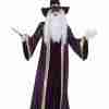 Halloween Adult Purple Wizard Polyester Costume