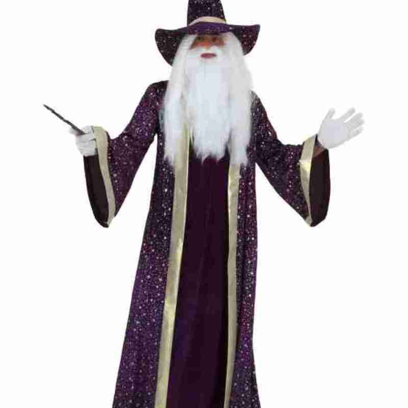 Halloween Adult Purple Wizard Polyester Costume